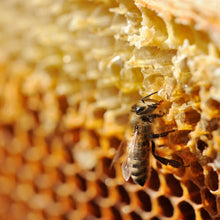 Carica l'immagine nel visualizzatore di Gallery, Harmony Hyaluronic Manuka Honey Night Cream 60ml