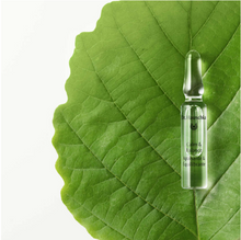 Carica l'immagine nel visualizzatore di Gallery, Fiale Calm & Balance 28 X 2ml