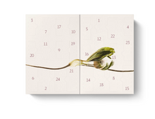 Carica l'immagine nel visualizzatore di Gallery, Calendario dell'Avvento Dr. Hauschka Bliss