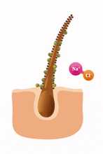 Carica l'immagine nel visualizzatore di Gallery, Balsamo Post-Colorazione COLOR FINISH 150ml