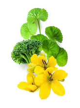 Carica l'immagine nel visualizzatore di Gallery, OLIO PER CAPELLI AYURVEDICO COLOR CARE