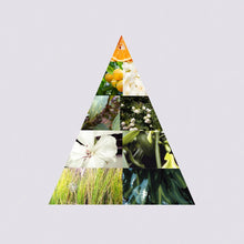 Carica l'immagine nel visualizzatore di Gallery, Profumo Cedar Wood + Vanilla Alcohol-free 50mL