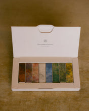 Carica l'immagine nel visualizzatore di Gallery, Discovery box Poécile
