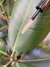 Carica l&#39;immagine nel visualizzatore di Gallery, Mini Brow &amp; Lash Gel
