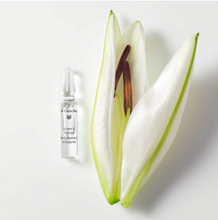 Carica l'immagine nel visualizzatore di Gallery, Fiale Renew &amp; Activate 28 X 2ml
