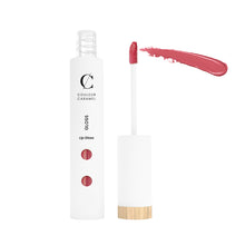 Carica l&#39;immagine nel visualizzatore di Gallery, Lip Gloss 6ml
